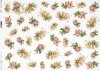 flores coloridas, rosas de té, rosas rosadas, rosas de salmón*bunte Blumen, Teerosen, rosa Rosen, Lachsrosen*яркие цветы, чайные розы, розовые розы, розы из лосося